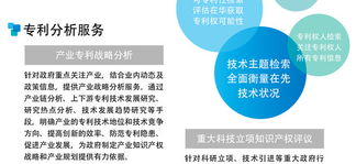專(zhuān)利檢索與信息咨詢服務(wù) 助力創(chuàng)新與知識(shí)產(chǎn)權(quán)保護(hù)